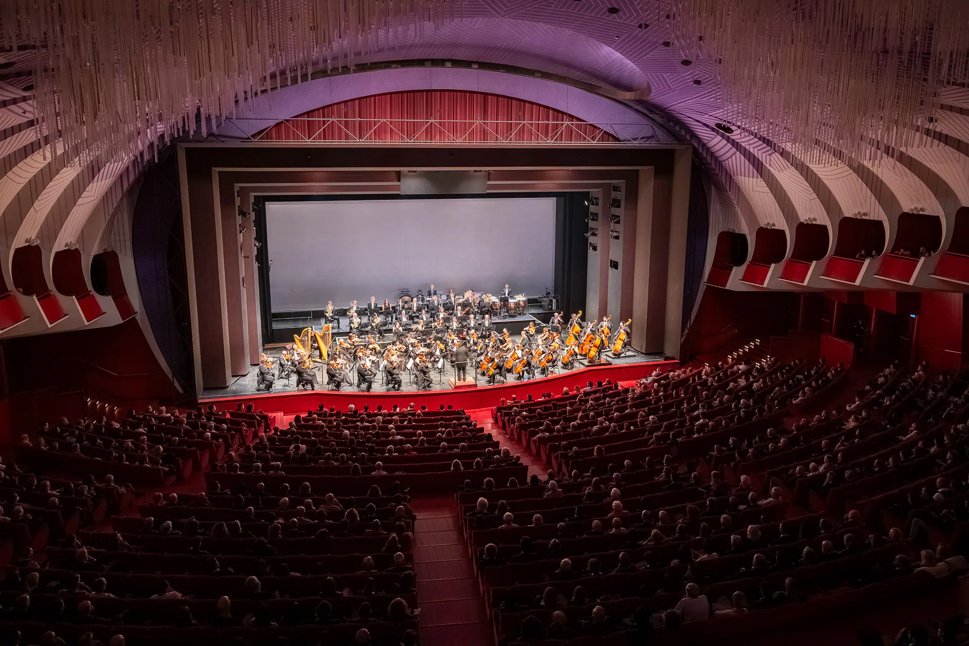 Abissi at Teatro Regio di Torino, the concert