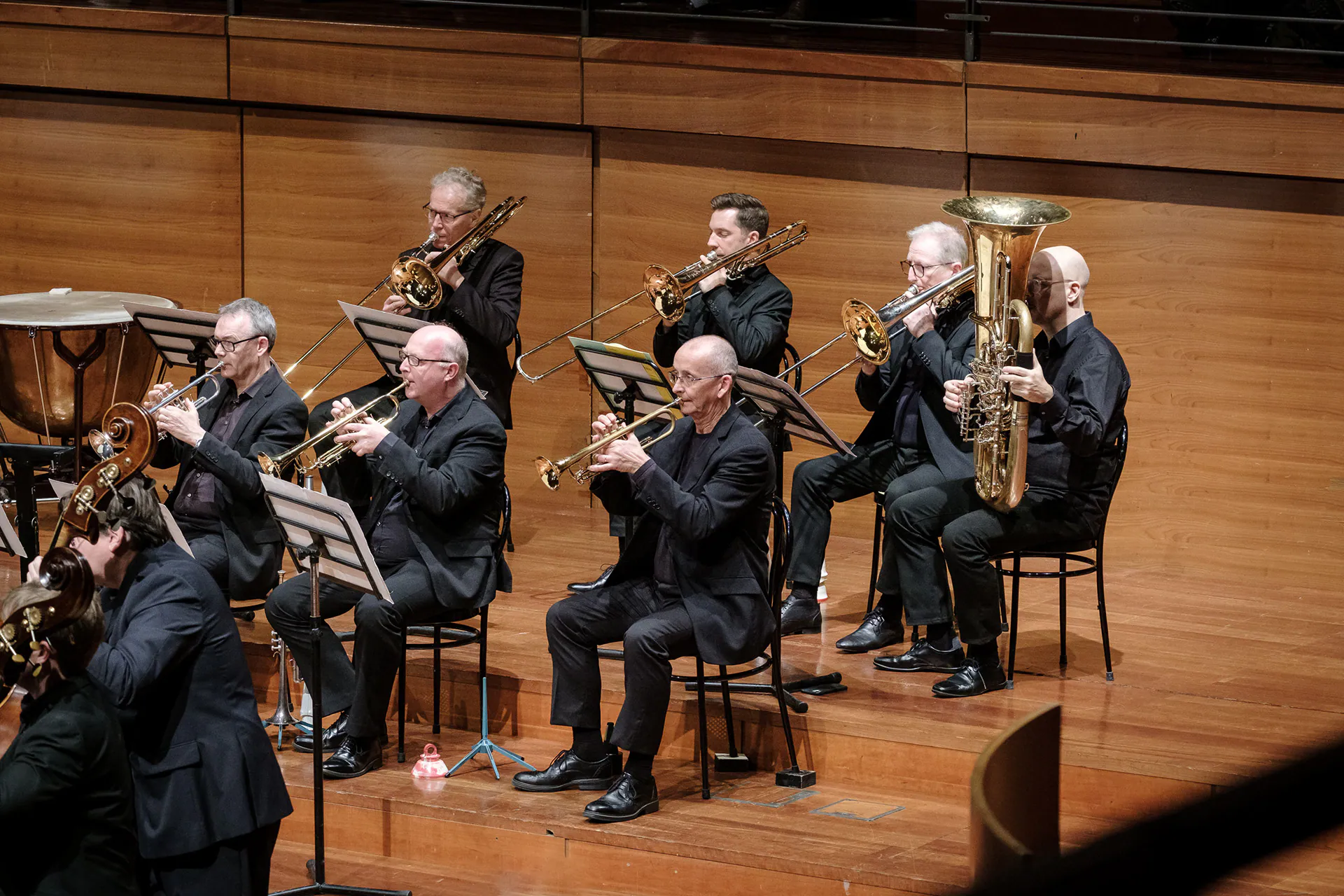 Sir Antonio Pappano e la Chamber Orchestra of Europe, Lingotto Musica: fotografia 12 di 19