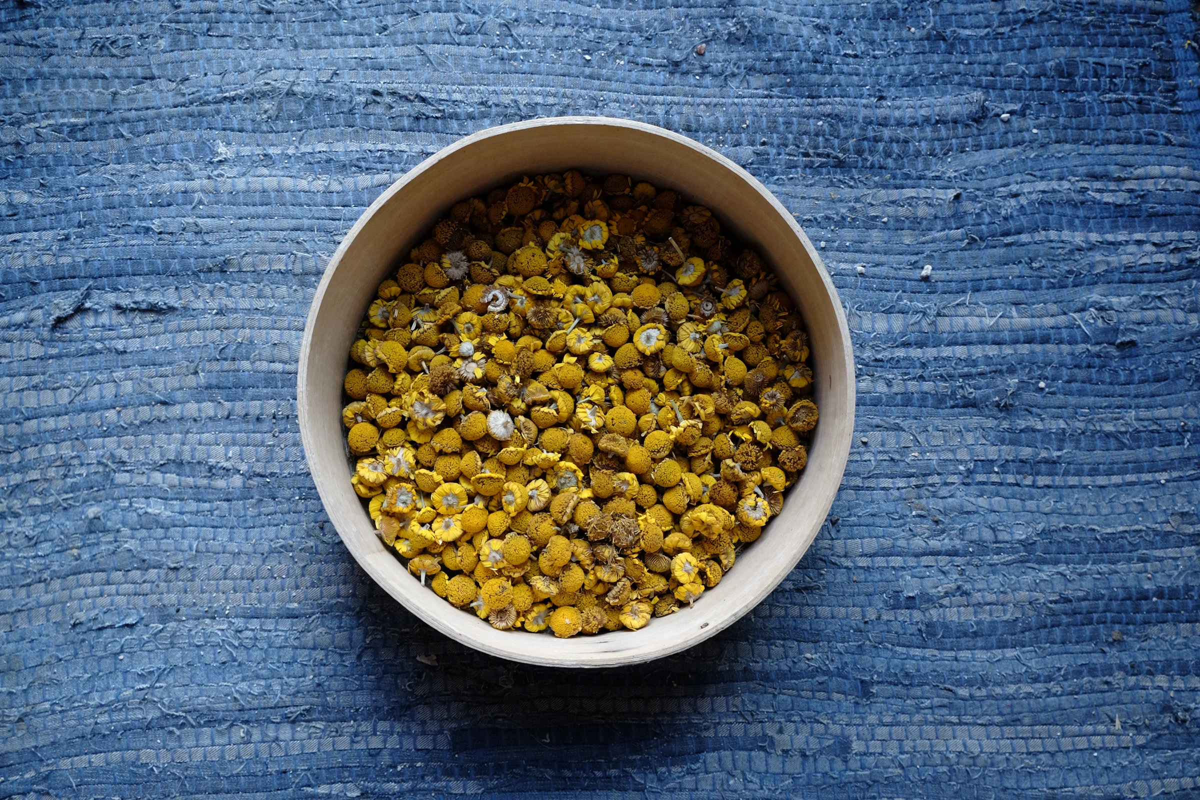 A bowl of dried chamomile flowers on a blue fabric
