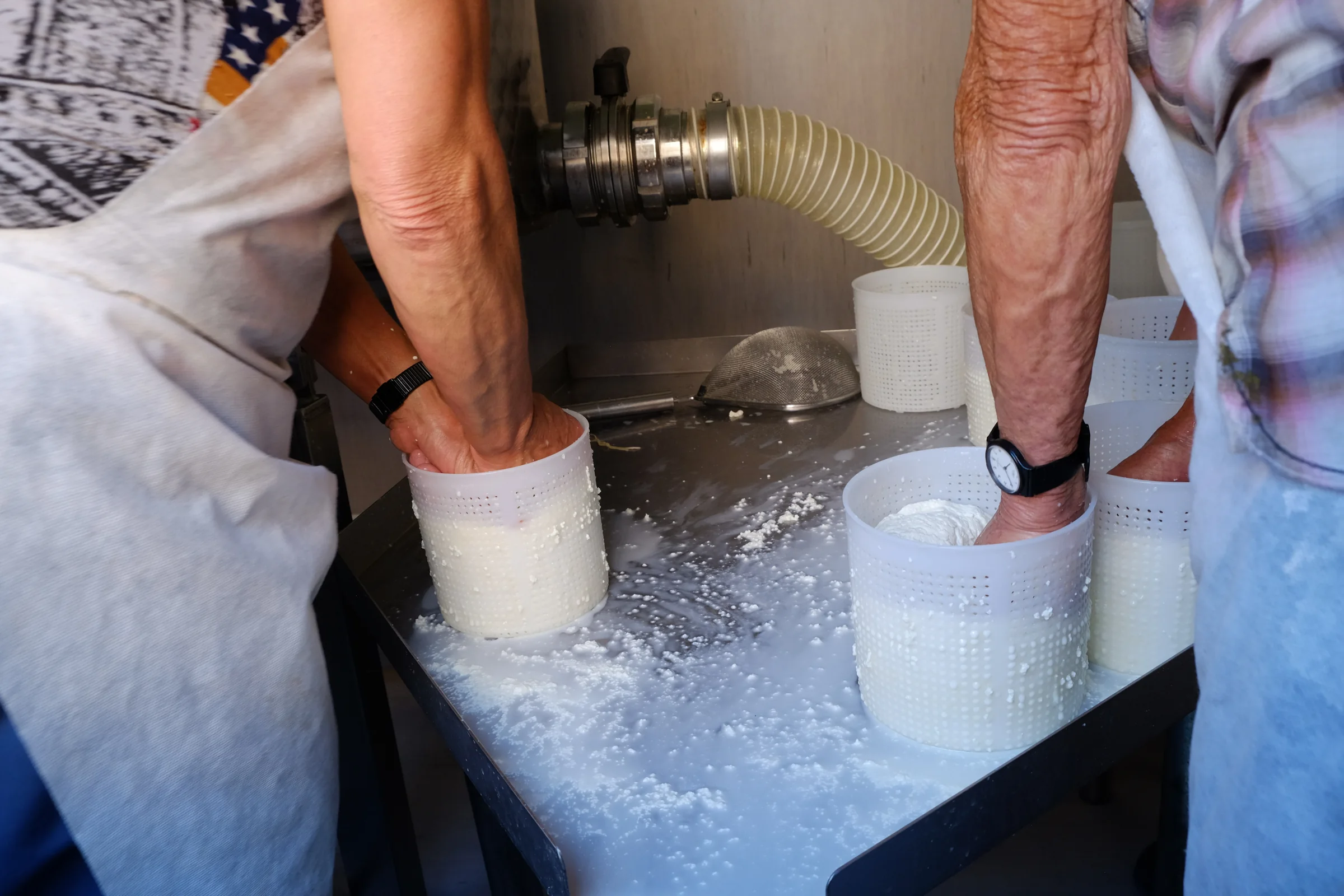 Hands placing ricotta in the moulds