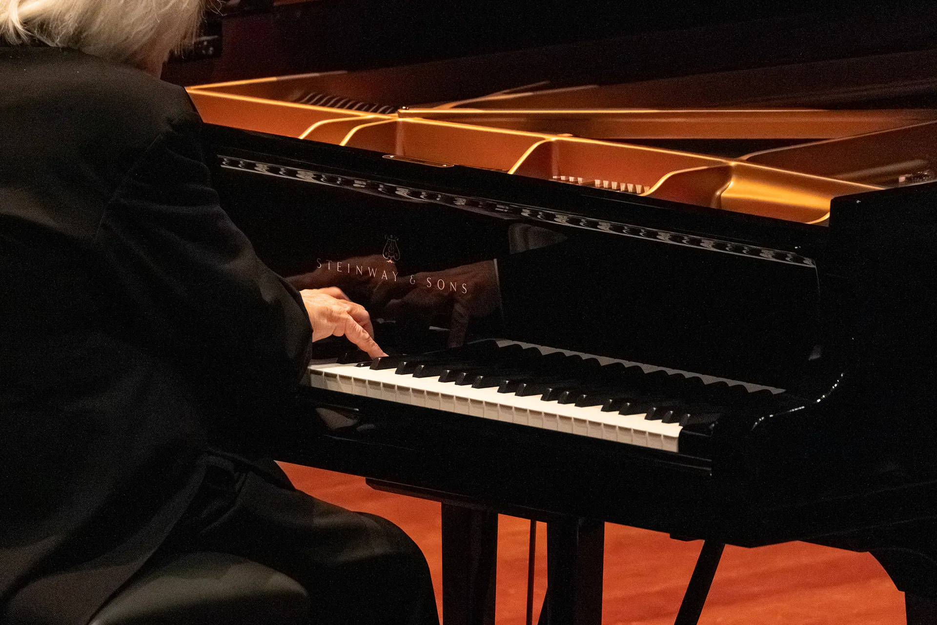 Grigory Sokolov, Lingotto Musica: fotografia 6 di 8