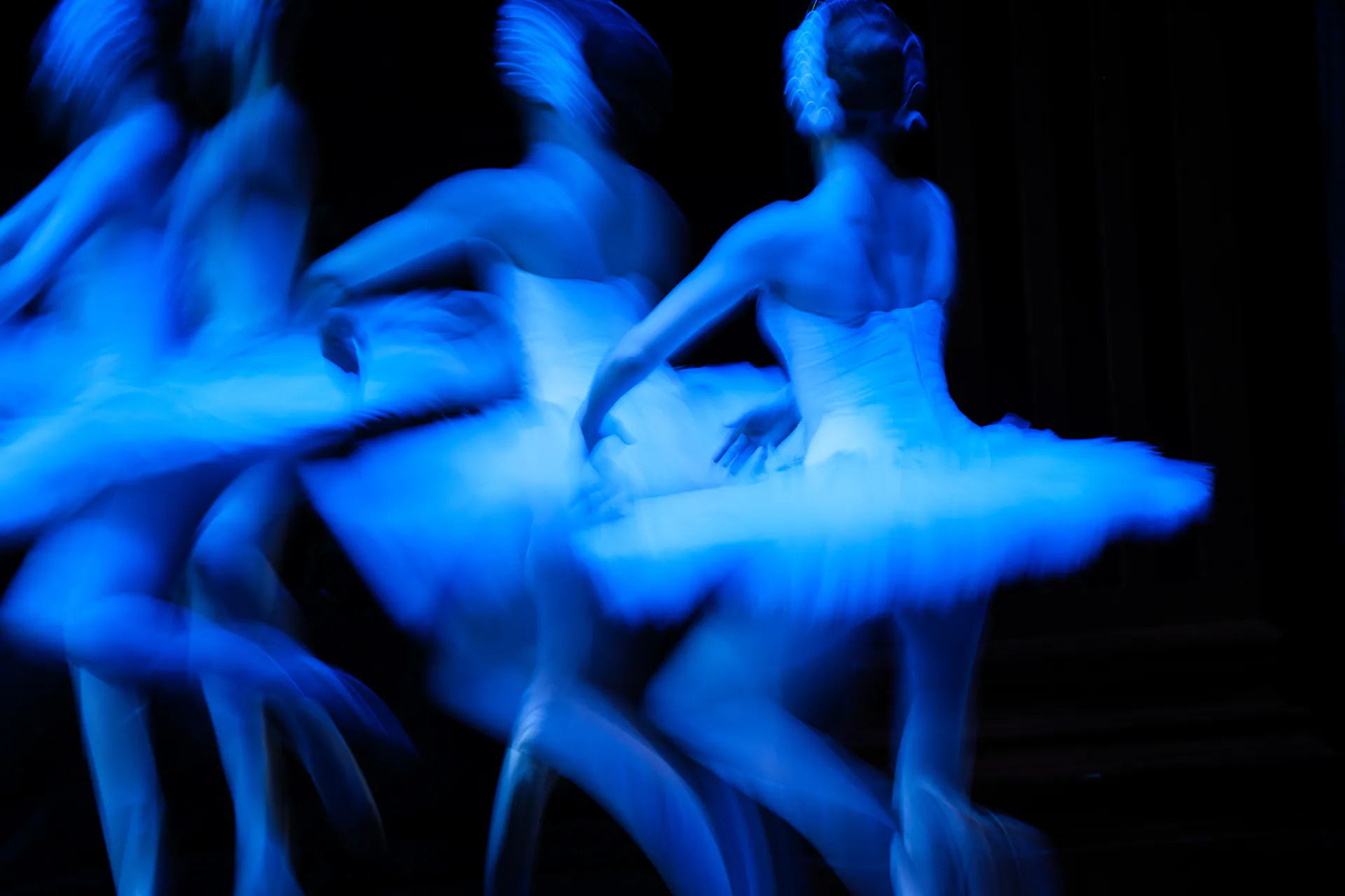 Il lago dei cigni, Teatro Regio di Torino: fotografia 4 di 17