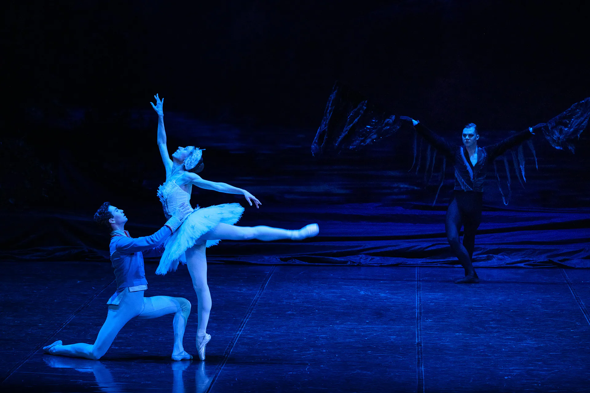 Il lago dei cigni, Teatro Regio di Torino: fotografia 10 di 17