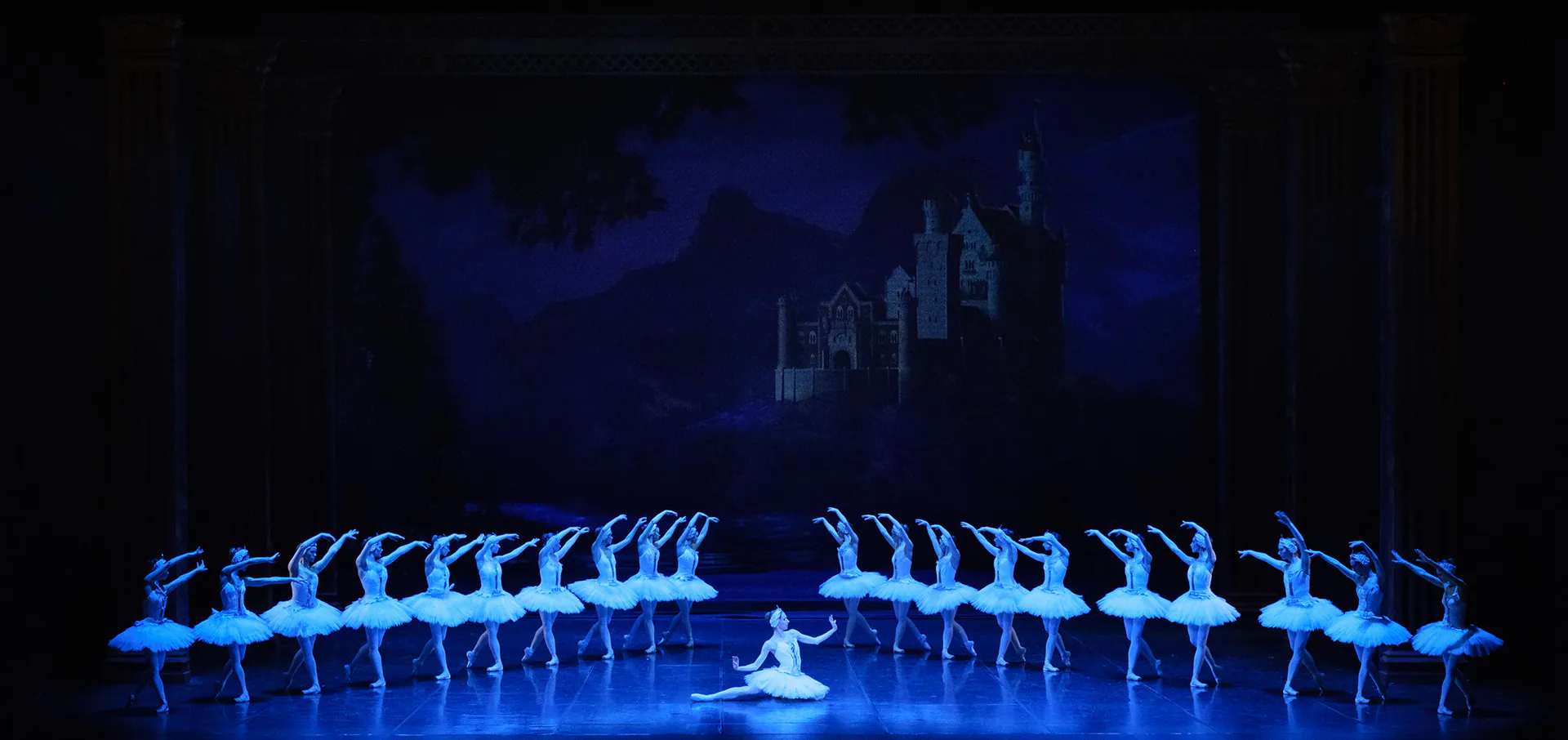Il lago dei cigni, Teatro Regio di Torino: fotografia 17 di 17