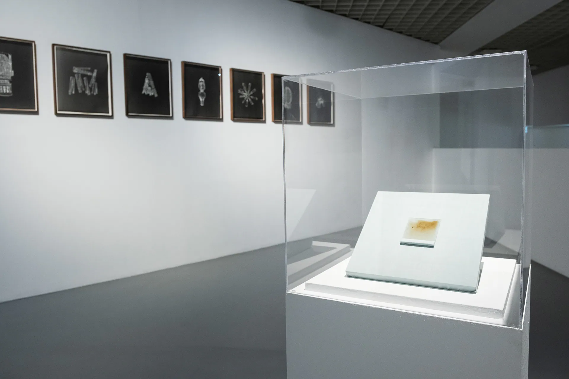 Linda Fregni Nagler. Anger Pleasure Fear, GAM Torino: photograph 1 of 23