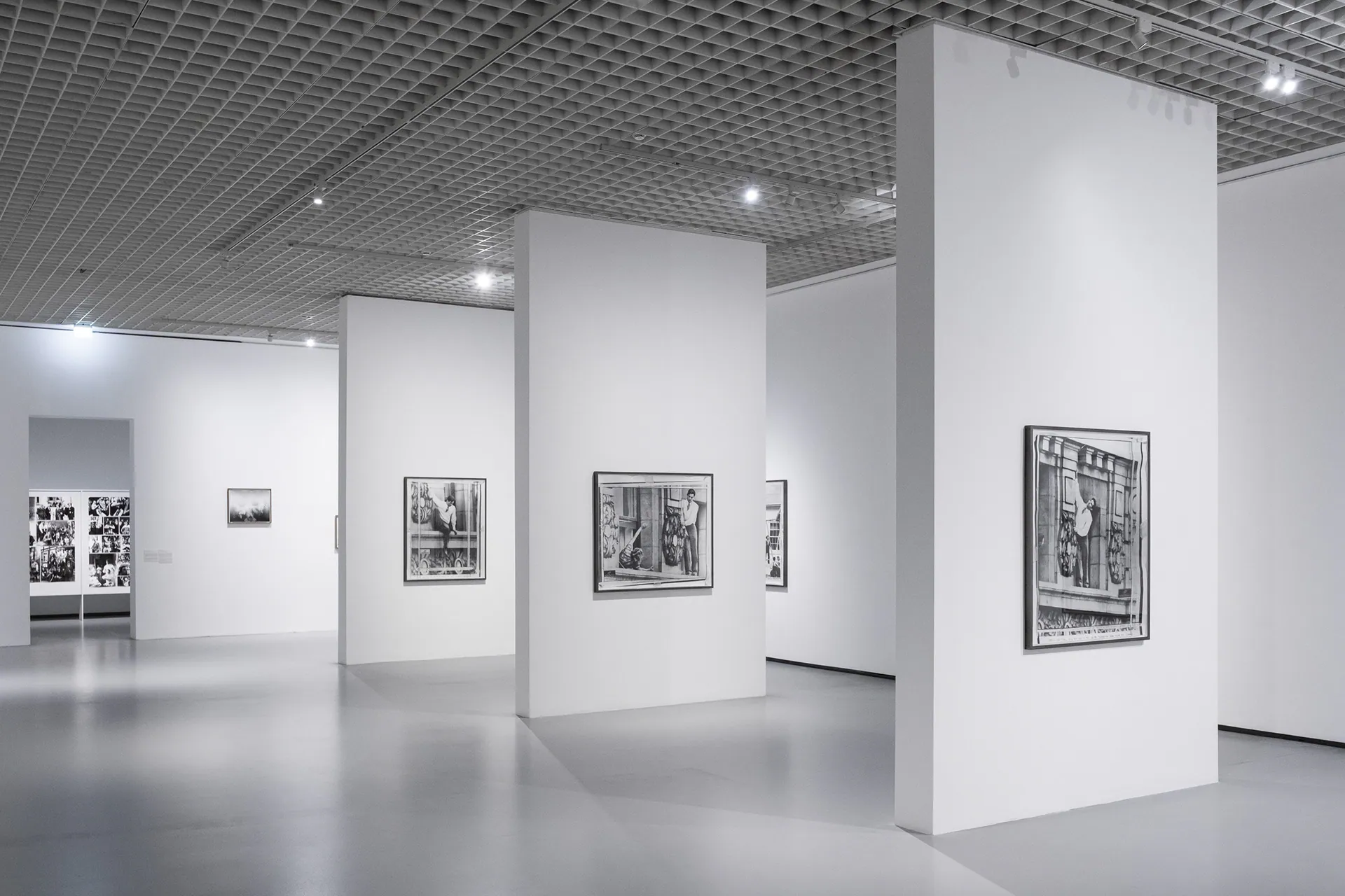 Linda Fregni Nagler. Anger Pleasure Fear, GAM Torino: photograph 4 of 23