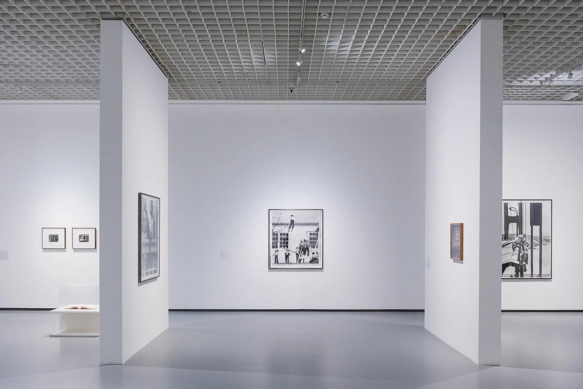 Linda Fregni Nagler. Anger Pleasure Fear, GAM Torino: photograph 7 of 23