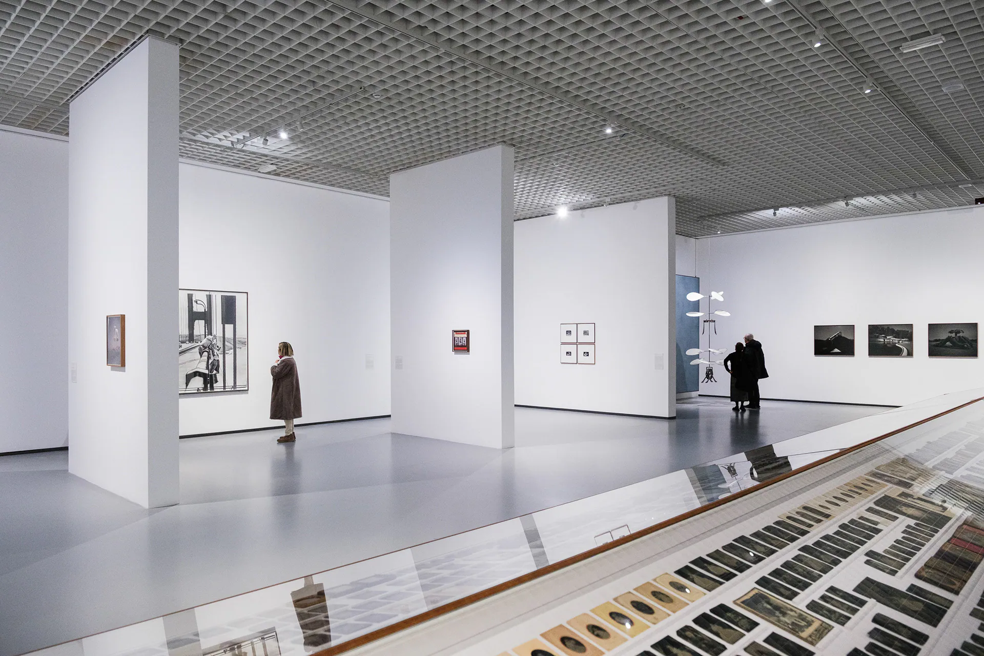 Linda Fregni Nagler. Anger Pleasure Fear, GAM Torino: photograph 9 of 23