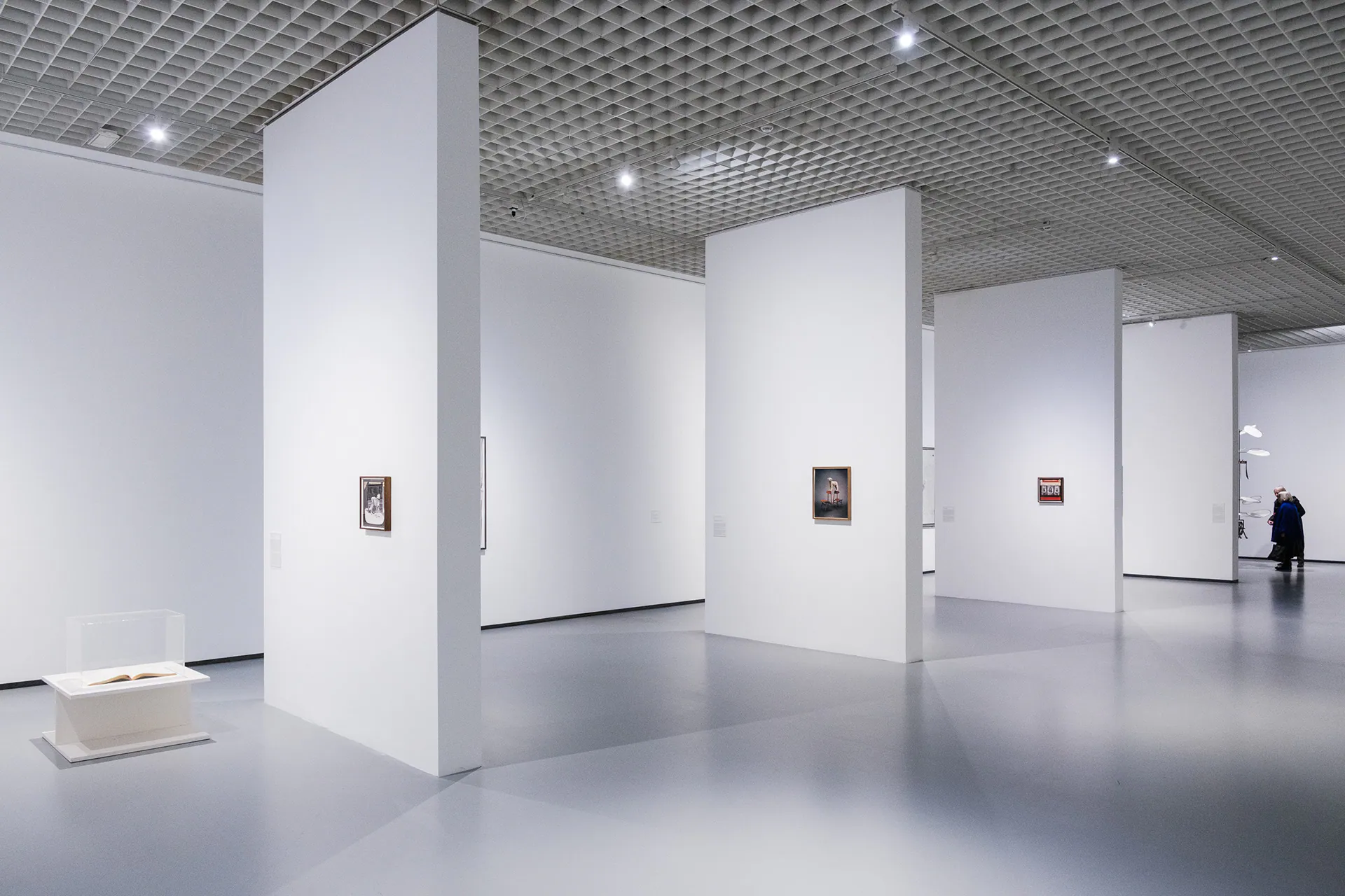 Linda Fregni Nagler. Anger Pleasure Fear, GAM Torino: photograph 13 of 23