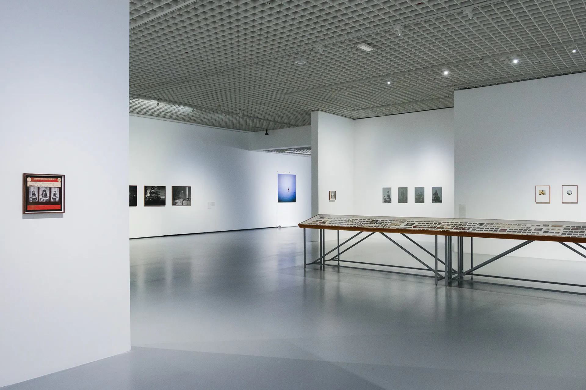 Linda Fregni Nagler. Anger Pleasure Fear, GAM Torino: photograph 14 of 23