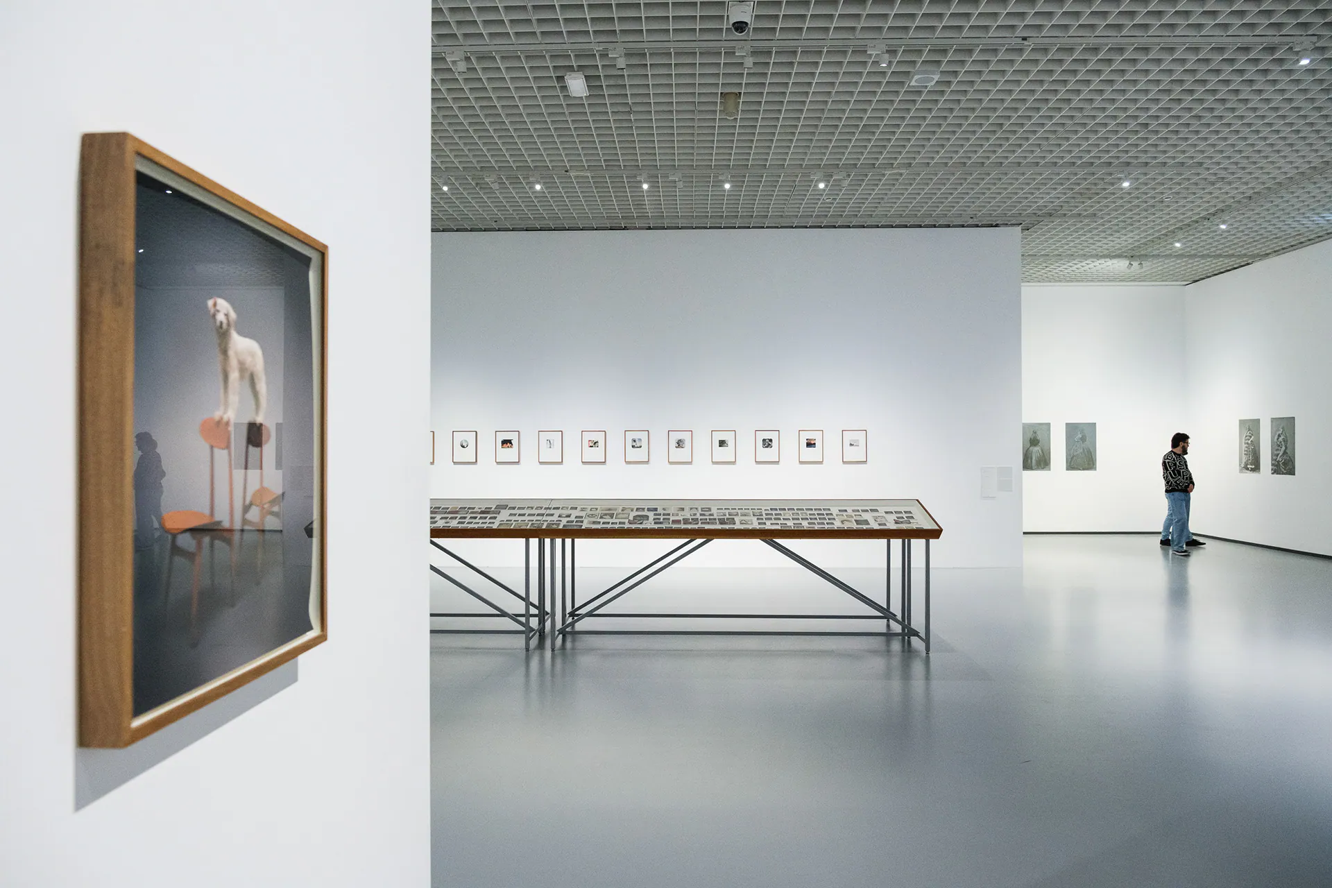 Linda Fregni Nagler. Anger Pleasure Fear, GAM Torino: photograph 16 of 23