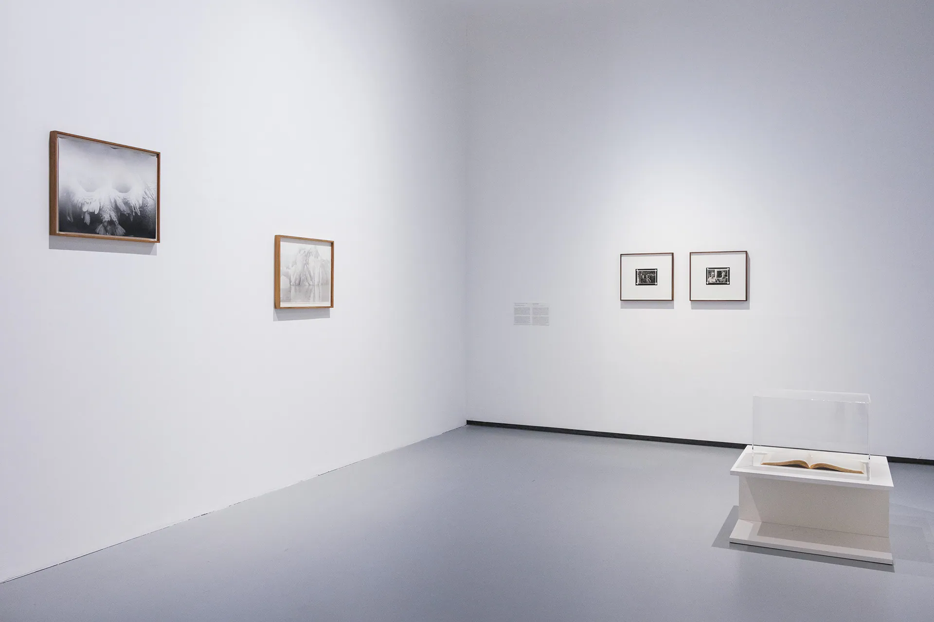 Linda Fregni Nagler. Anger Pleasure Fear, GAM Torino: photograph 17 of 23