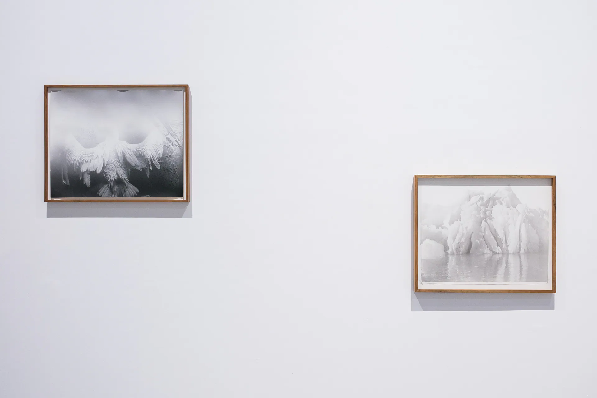 Linda Fregni Nagler. Anger Pleasure Fear, GAM Torino: photograph 18 of 23