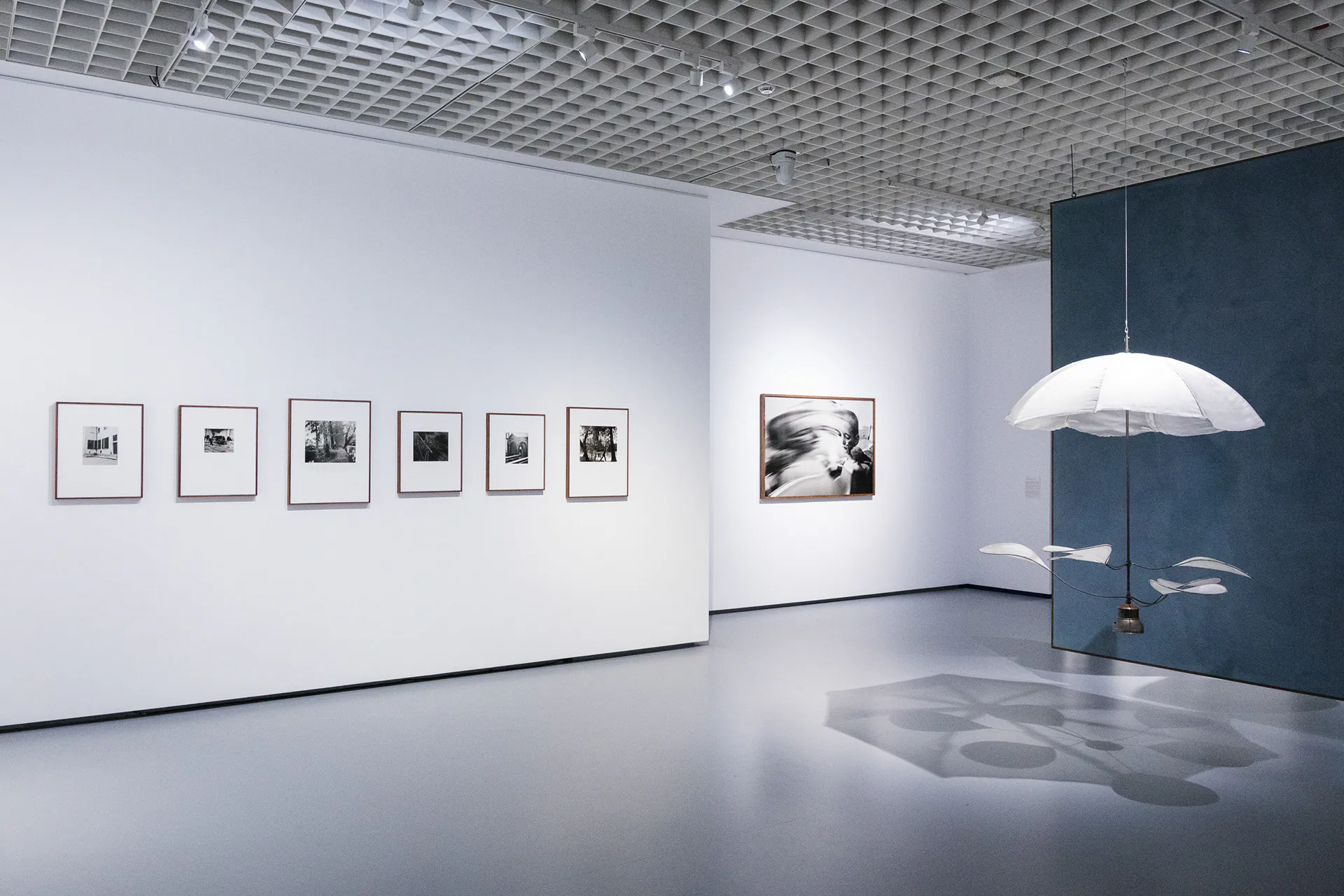 Linda Fregni Nagler. Anger Pleasure Fear, GAM Torino: photograph 20 of 23