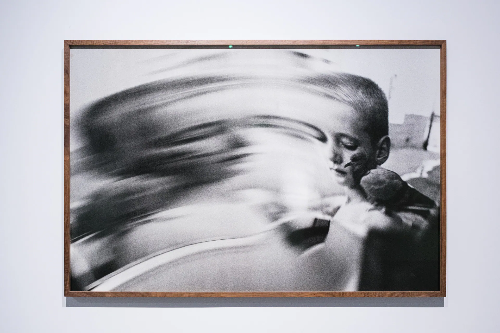 Linda Fregni Nagler. Anger Pleasure Fear, GAM Torino: photograph 22 of 23