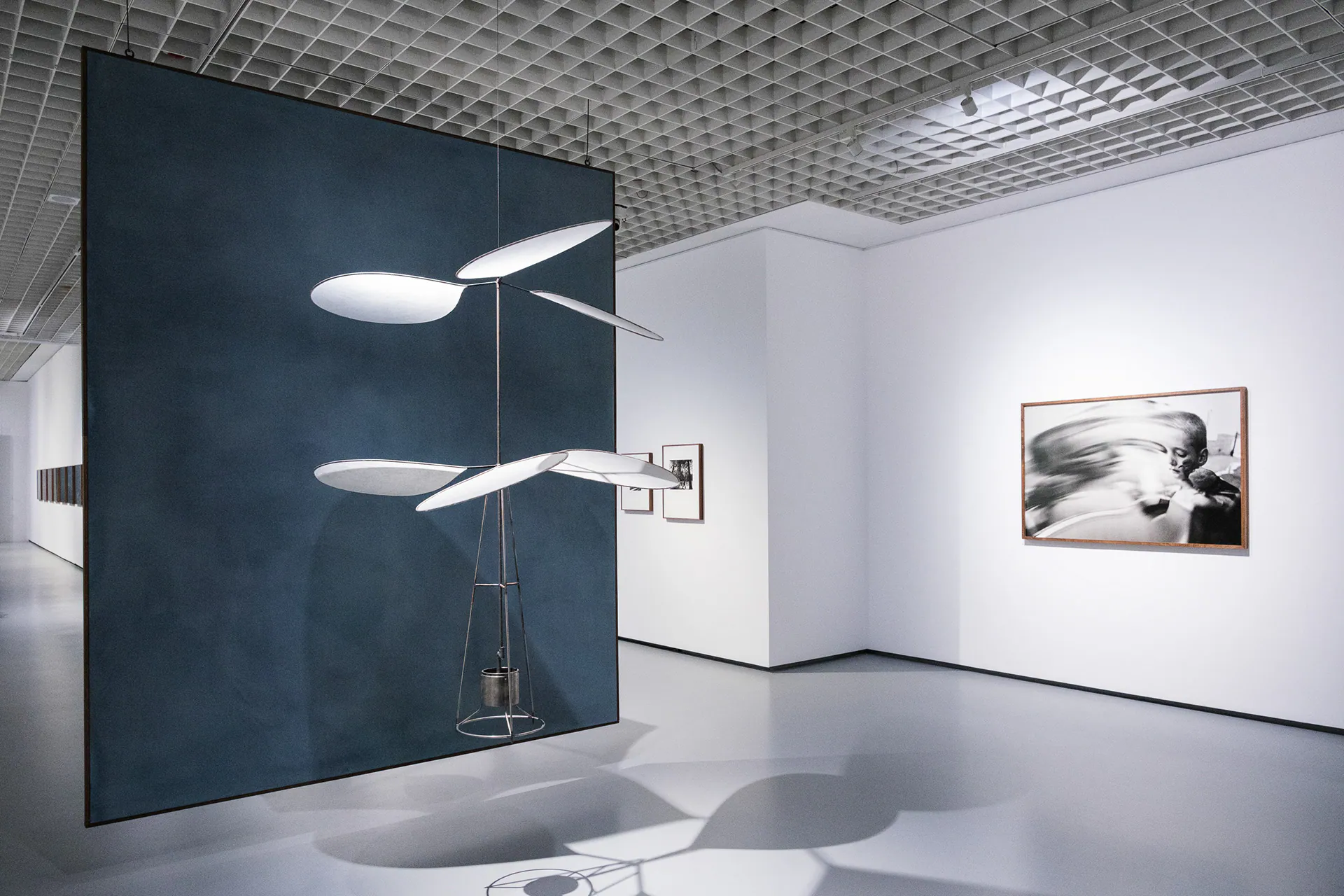 Linda Fregni Nagler. Anger Pleasure Fear, GAM Torino: photograph 23 of 23