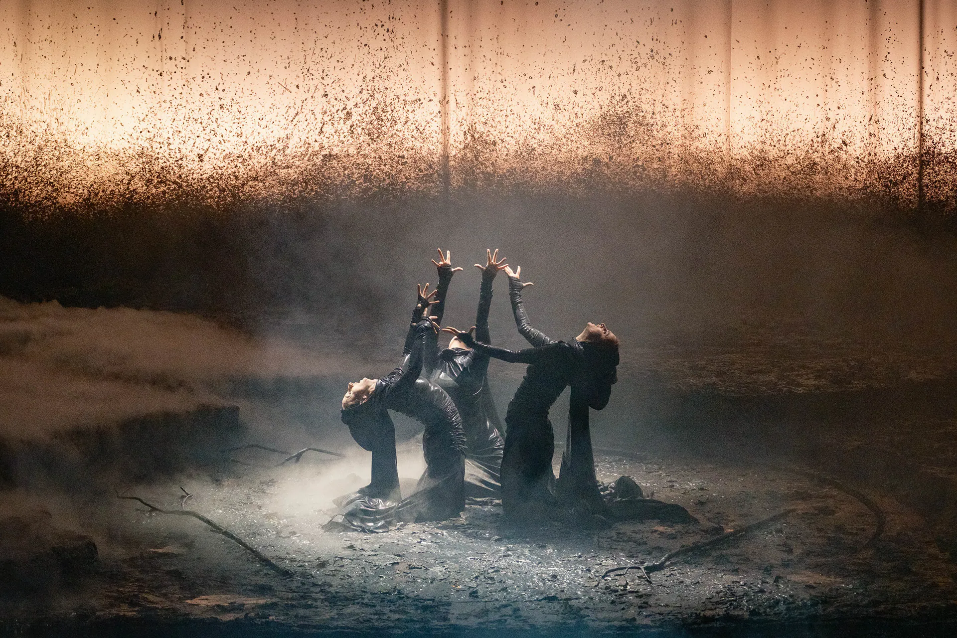 Macbeth, Teatro Regio di Torino: photograph 25 of 45