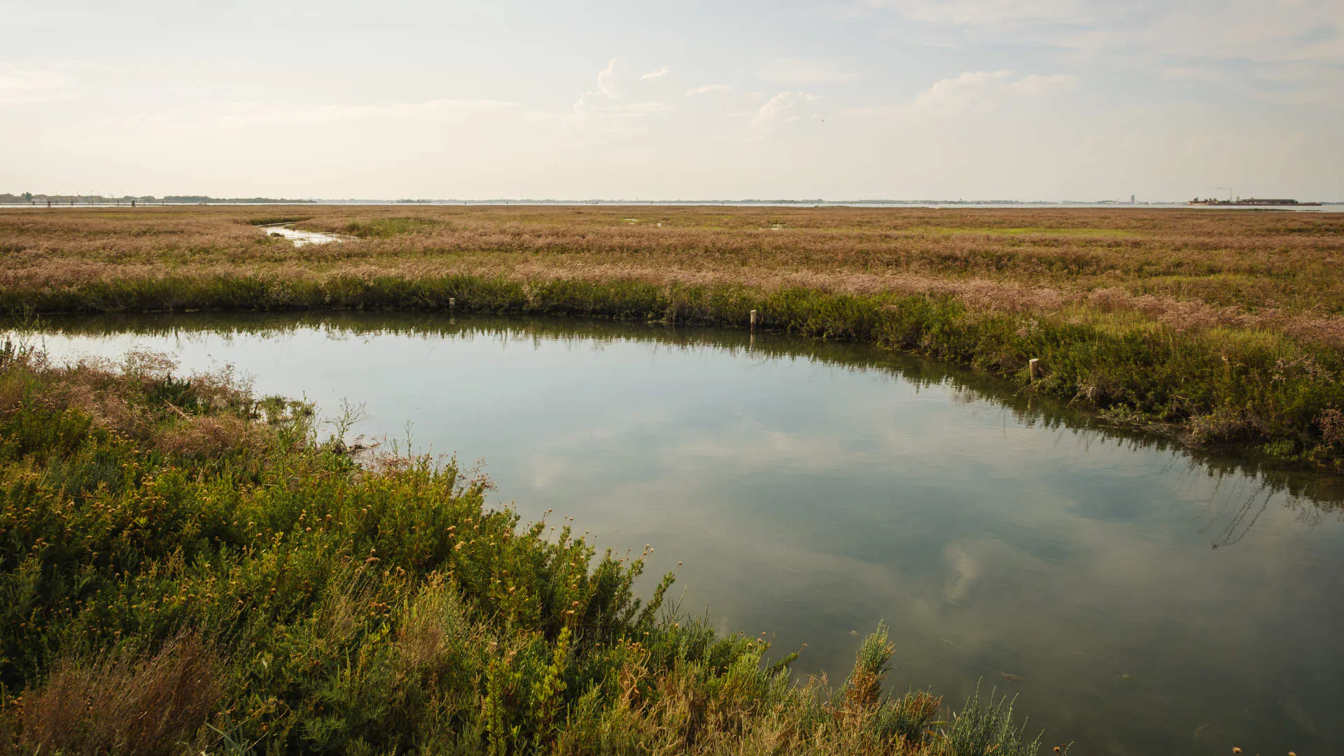 Le barene della laguna di Venezia al tramonto