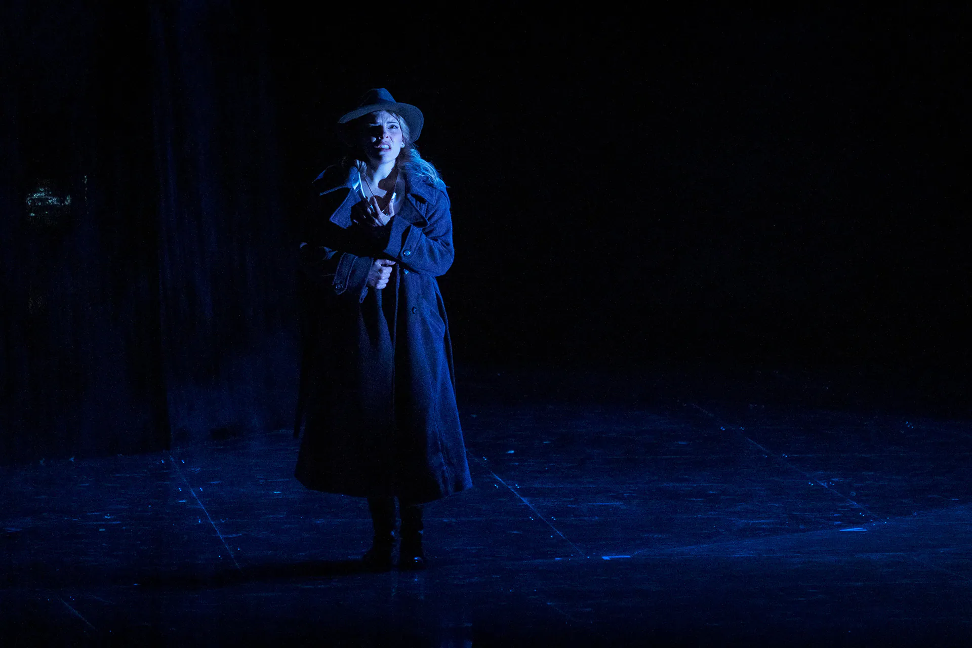 Rigoletto at Teatro Regio di Torino, on stage, photograph 8