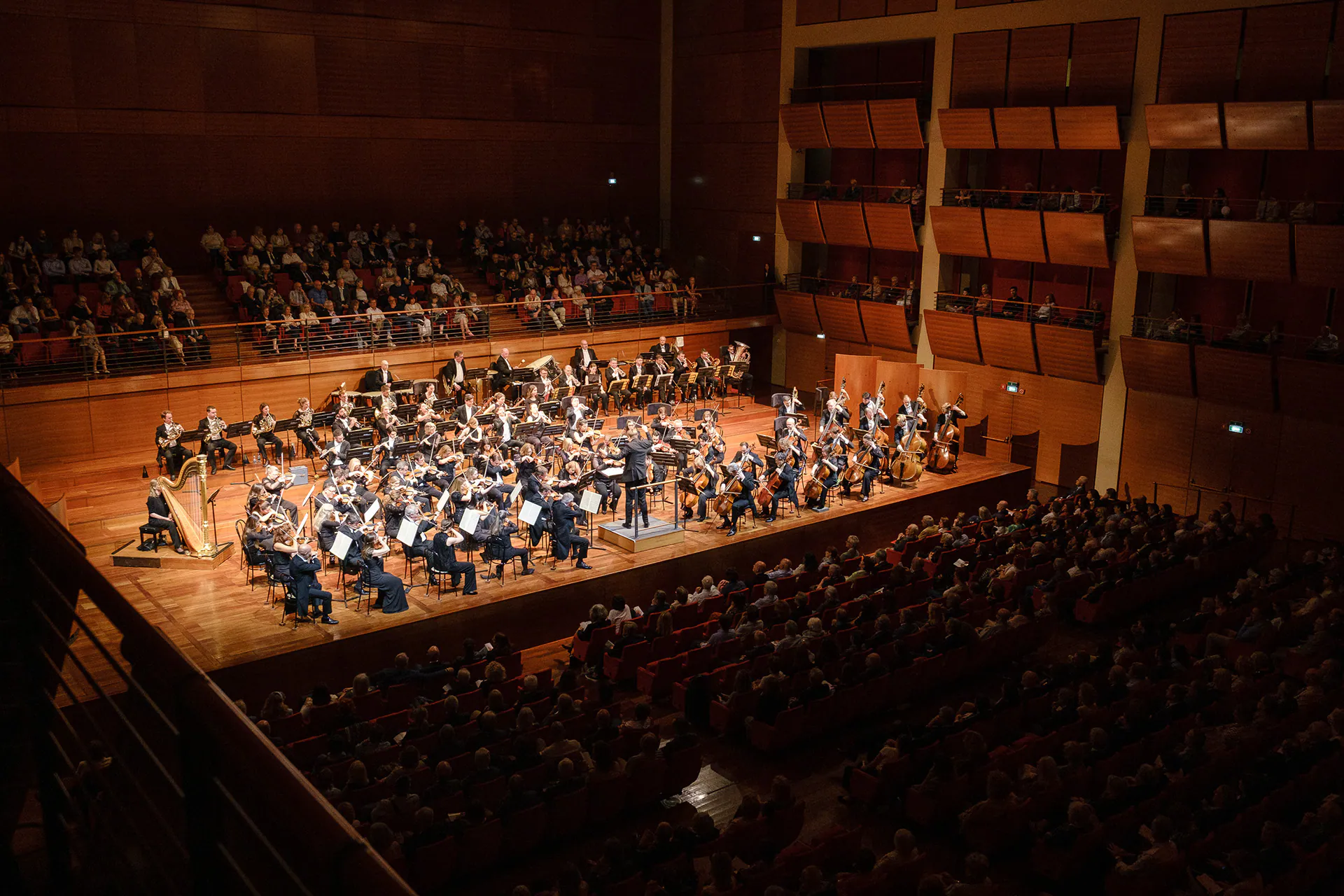 Royal Philharmonic Orchestra, Lingotto Musica: photograph 1 of 18