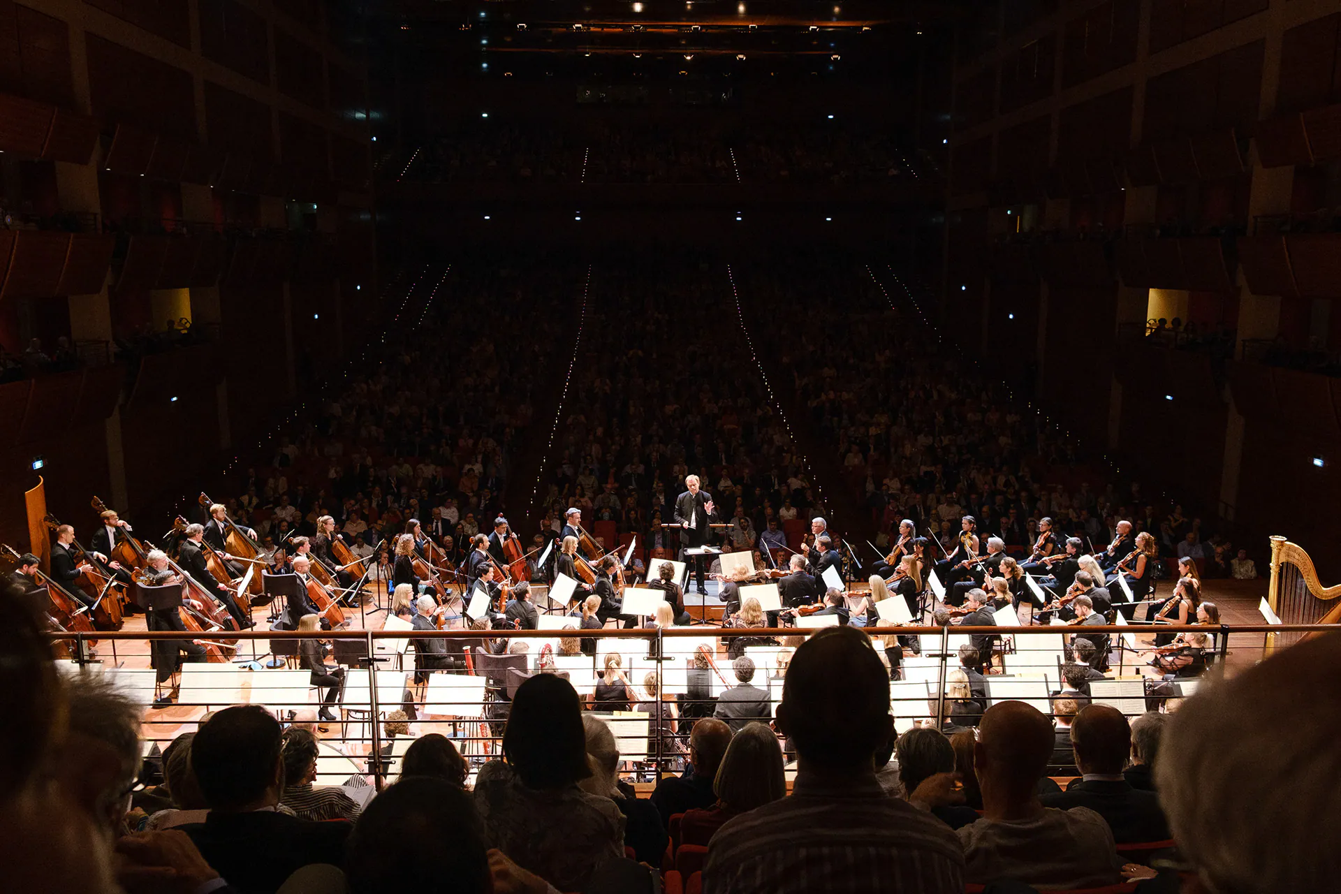 Royal Philharmonic Orchestra, Lingotto Musica: photograph 3 of 18