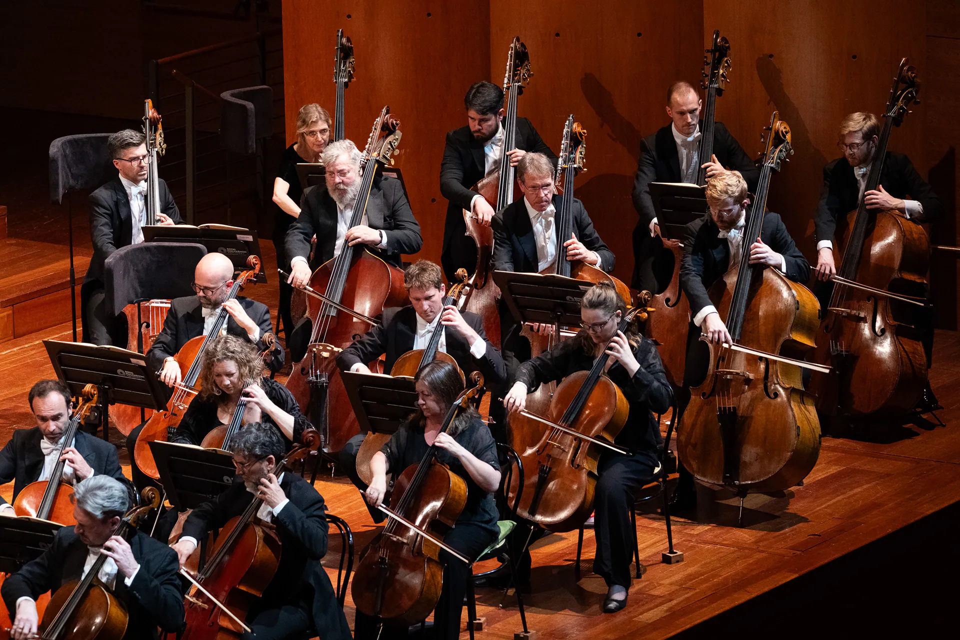 Royal Philharmonic Orchestra, Lingotto Musica: photograph 4 of 18