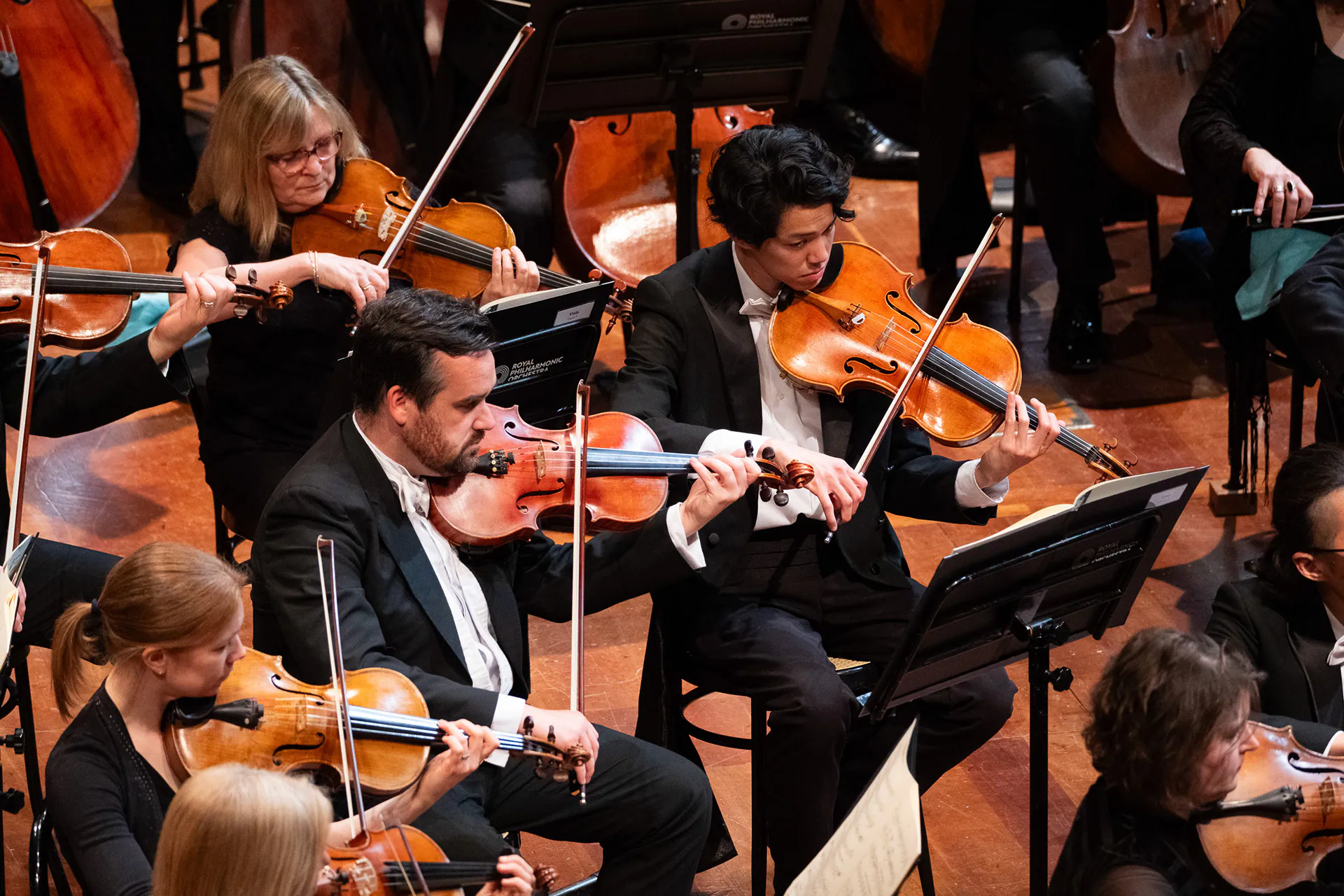 Royal Philharmonic Orchestra, Lingotto Musica: photograph 6 of 18