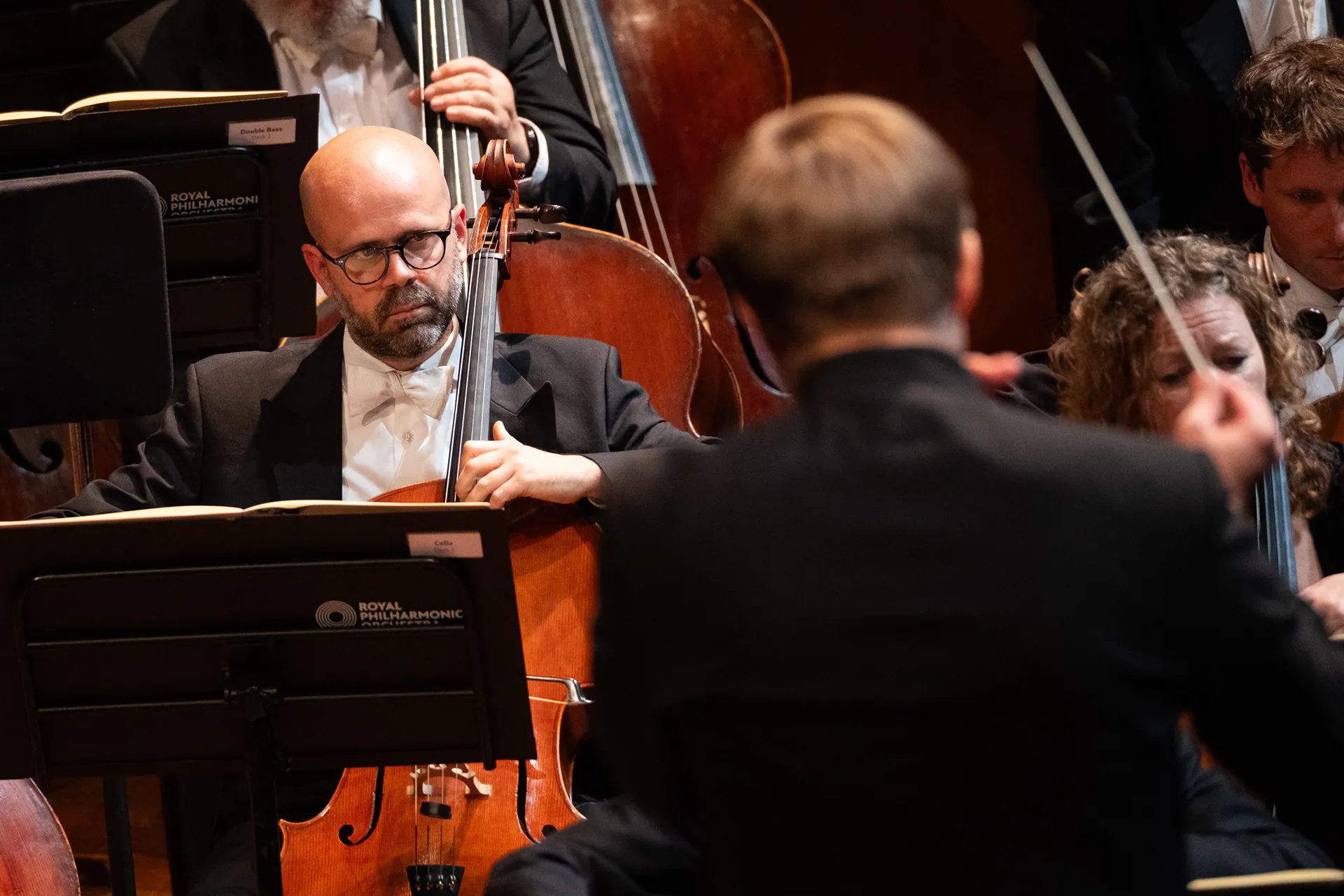 Royal Philharmonic Orchestra, Lingotto Musica: photograph 7 of 18