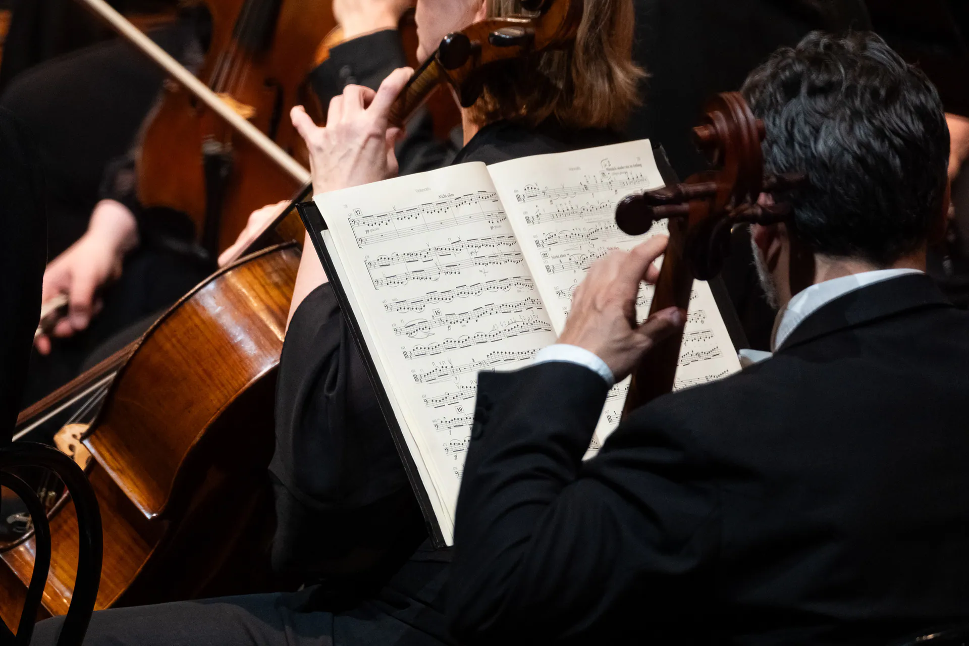 Royal Philharmonic Orchestra, Lingotto Musica: photograph 9 of 18