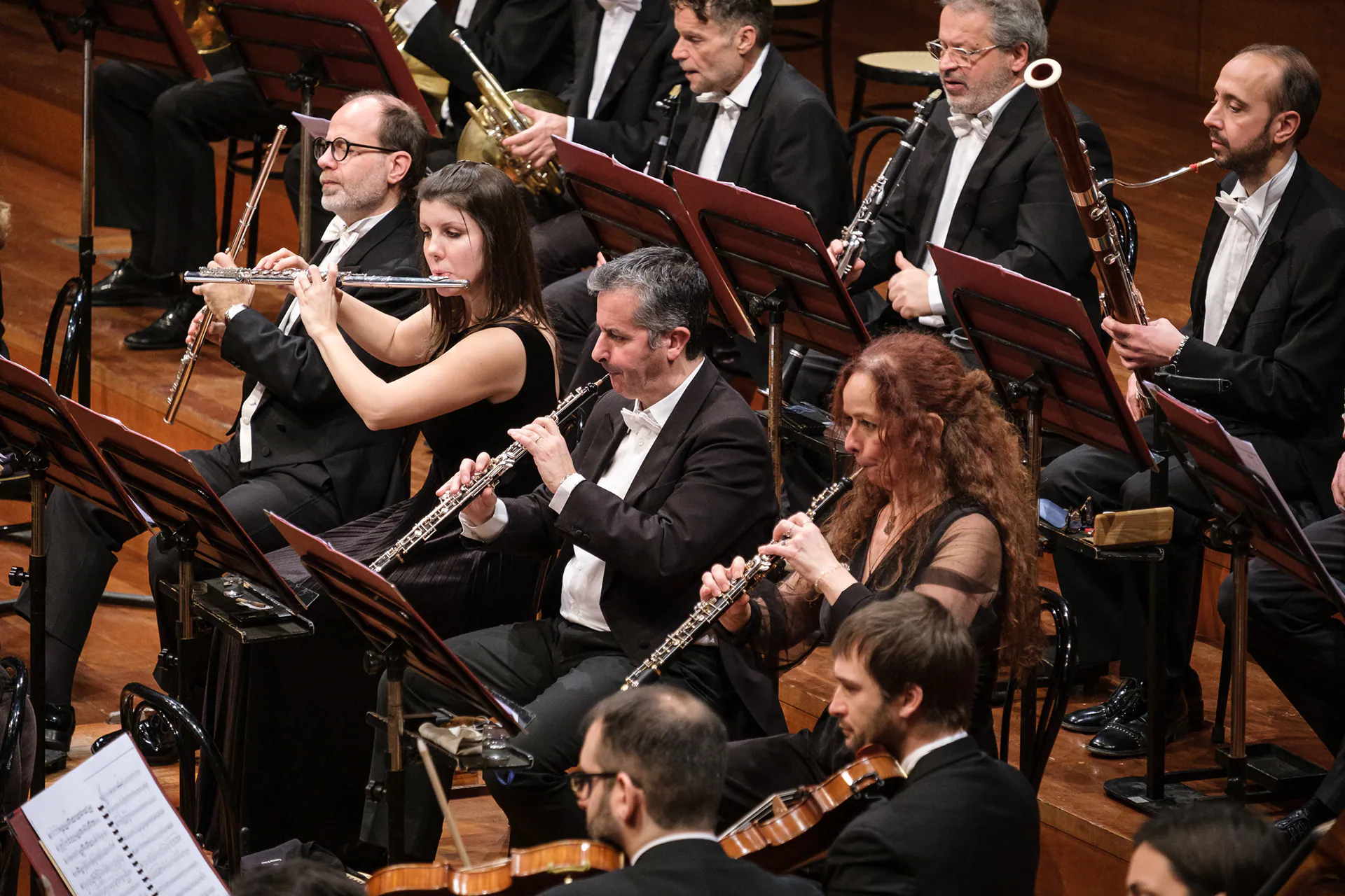 Orchestra dell’Accademia Nazionale di Santa Cecilia, Lingotto Musica: photograph 12 of 13