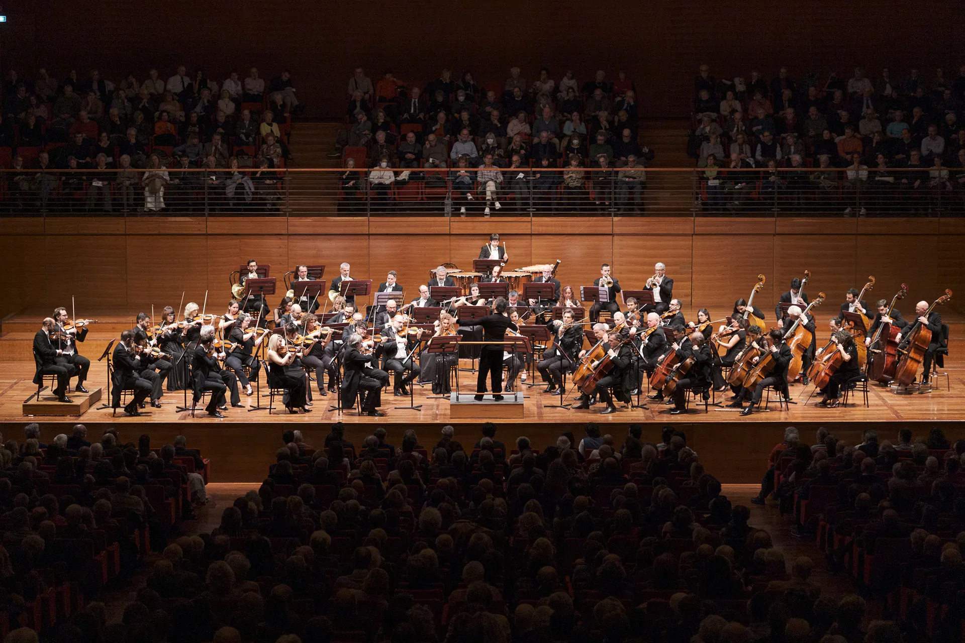 Orchestra dell’Accademia Nazionale di Santa Cecilia, Lingotto Musica: photograph 13 of 13