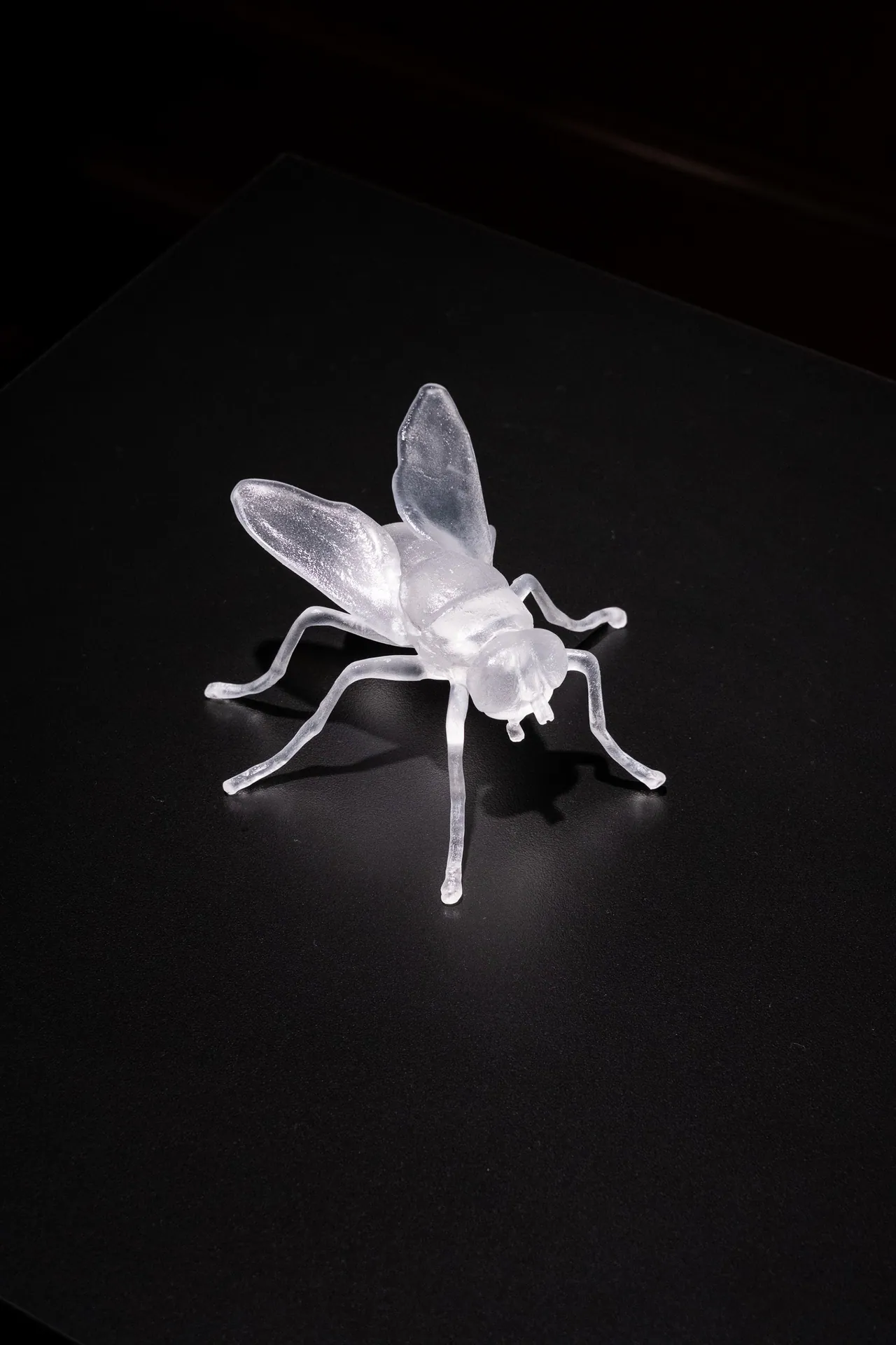 The Venice Glass Week, X edizione, The Venice Glass Week: fotografia 17 di 22