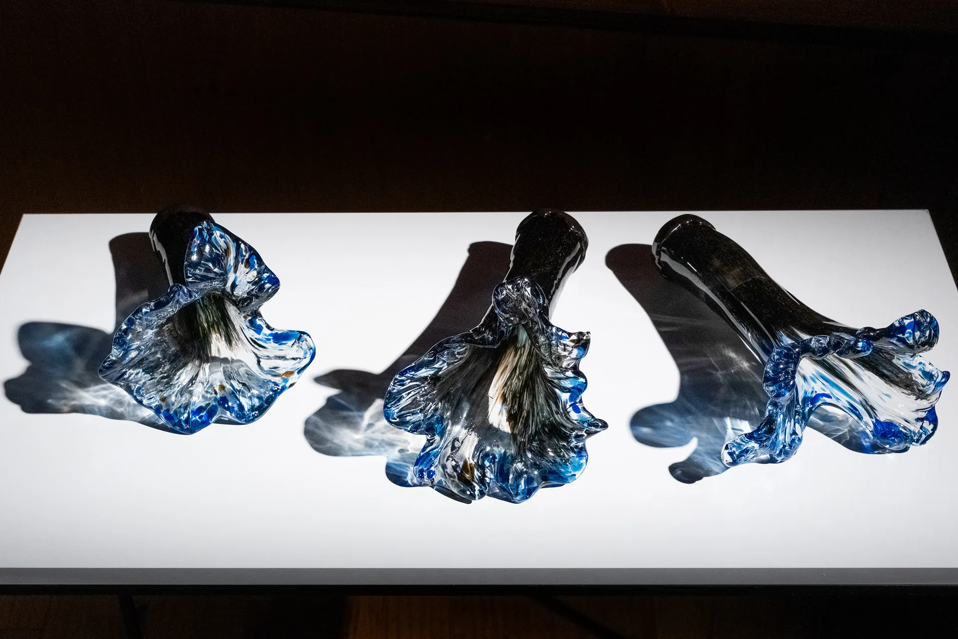 The Venice Glass Week, X edizione, The Venice Glass Week: fotografia 18 di 22